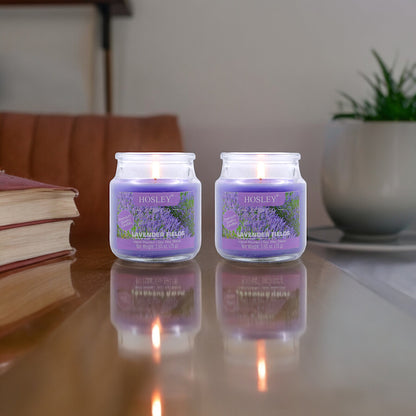 Hosley Set of 2 Lavender Fields 2.65 Oz (75g)