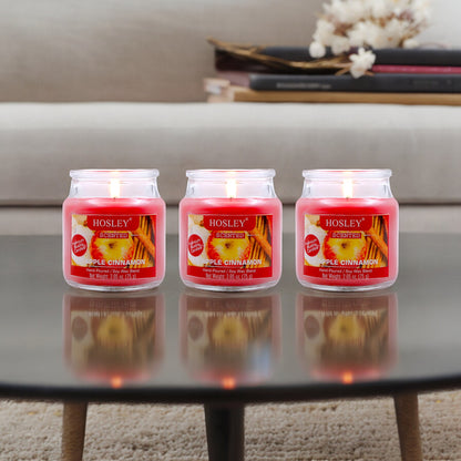 Hosley Apple Cinnamon Fragranced Jar Candles – Set of 3, 2.65 Oz Each