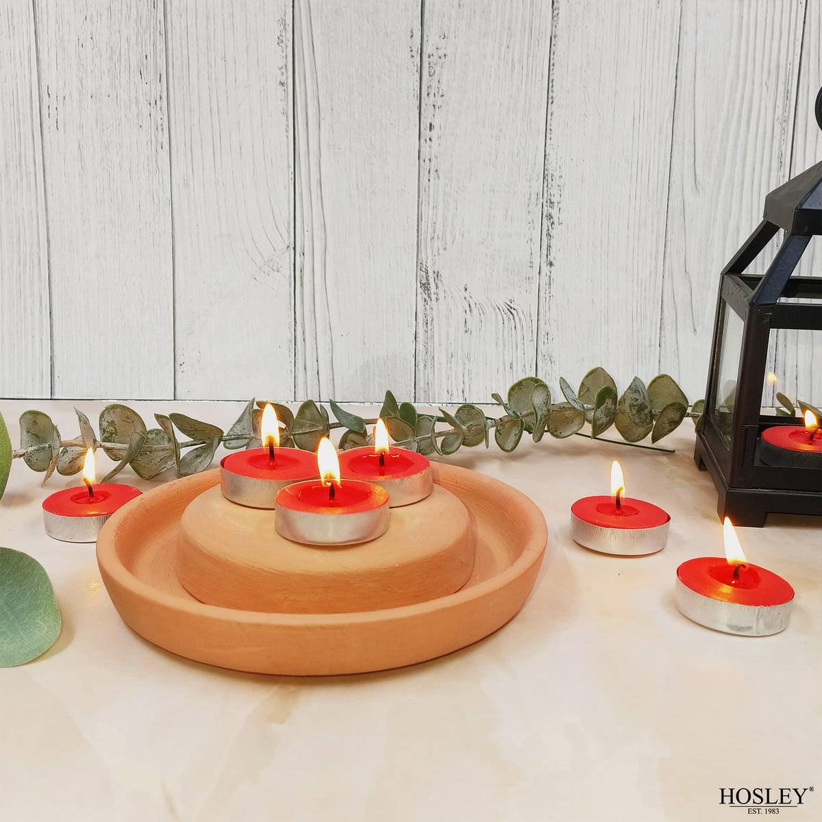 Hosley Rose Fragranced Tea Light Candles – Set of 30
