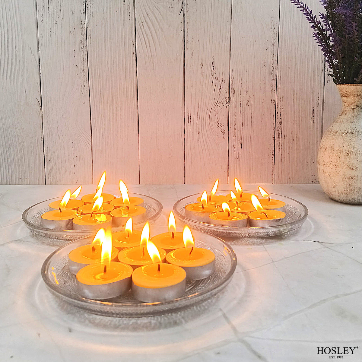 Hosley  Citronella Fragranced Tea Light Candles – Set of 30