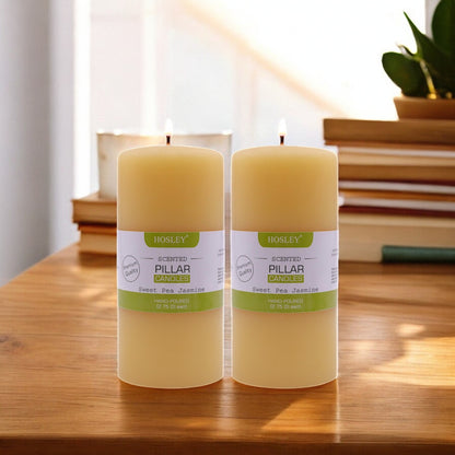 Hosley Set of 6Inchs Pillar Candles