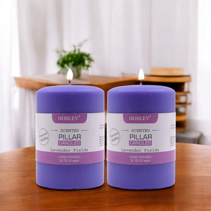 Hosley Set of 2 Lavender Fields 4Inchs Pillar Candles
