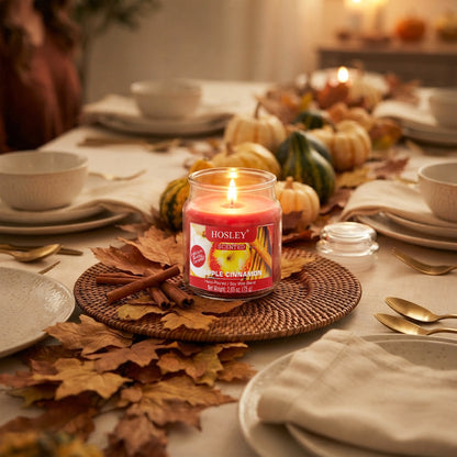 Hosley Apple Cinnamon Fragranced Jar Candle – 2.65 Oz