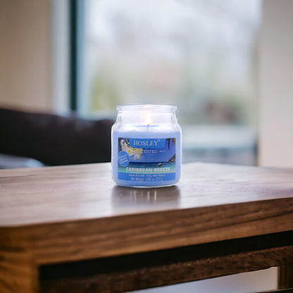 Hosley® Caribbean Breeze Highly Fragranced, 2.65 Oz wax, Jar Candle