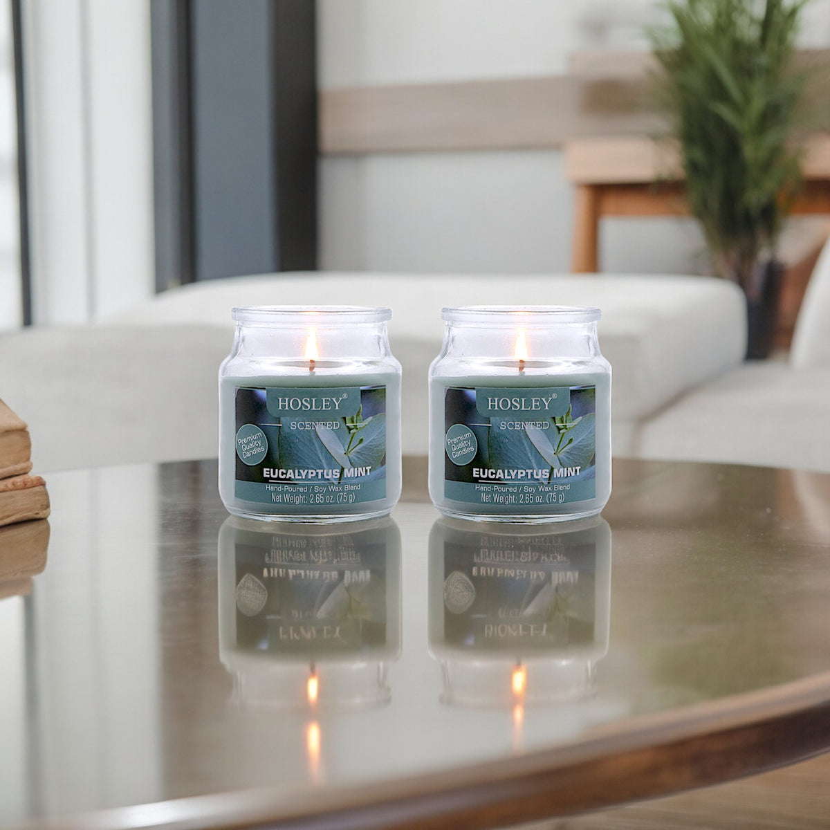 Hosley Set of 2 Eucalyptus Mint 2.65 Oz (75g)