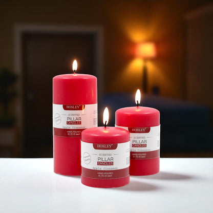 Hosley Set 3 Decorative Cinnamon Highly fragranced Pillar Candle