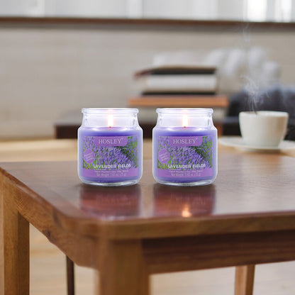 Hosley Set of 2 Lavender Fields 2.65 Oz (75g)