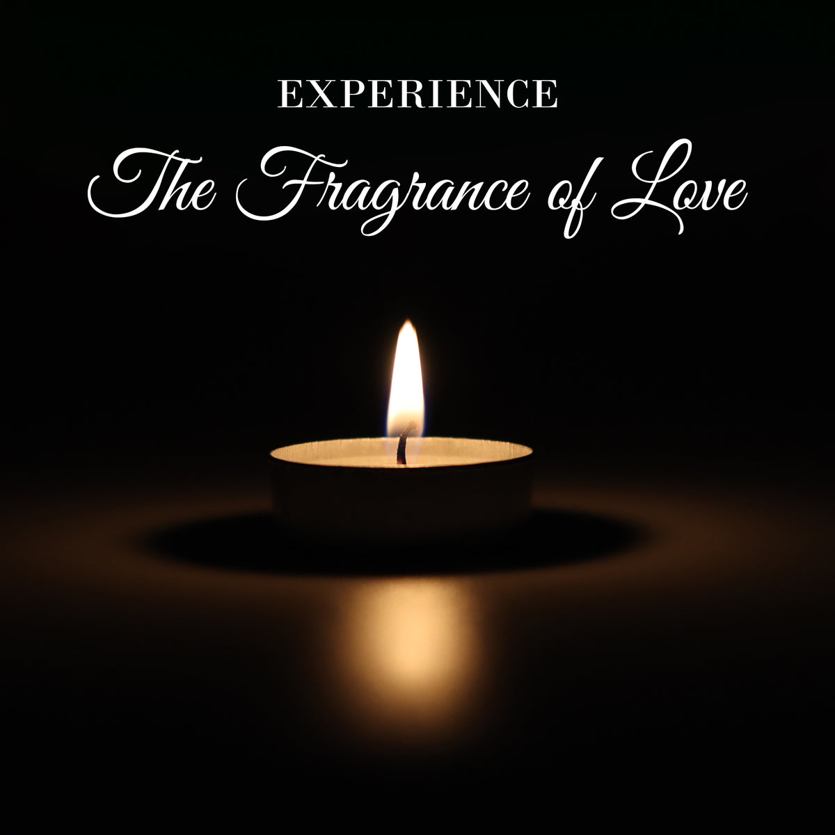 Hosley® Unscented Tealight Candles - 50Pcs