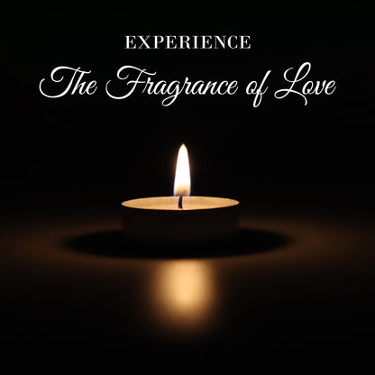 Hosley® Unscented Tealight Candles - 50Pcs