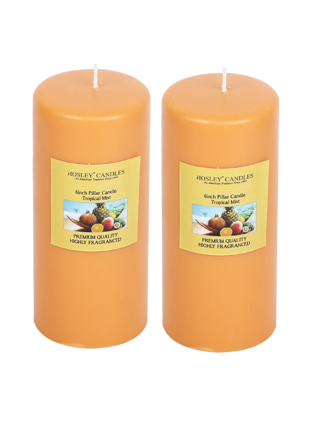 Hosley Set of 2 Tropical Mist 6Inchs Pillar Candles
