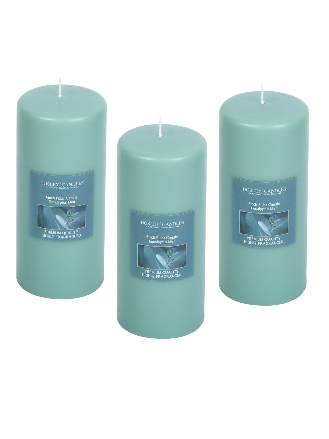 Hosley Set of 3 Eucalyptus Mint 6Inchs Pillar Candles