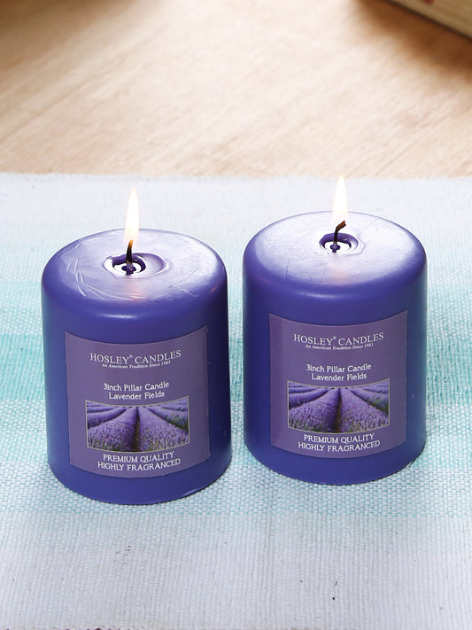 Hosley Set of 2 Lavender Fields 3Inchs Pillar Candles