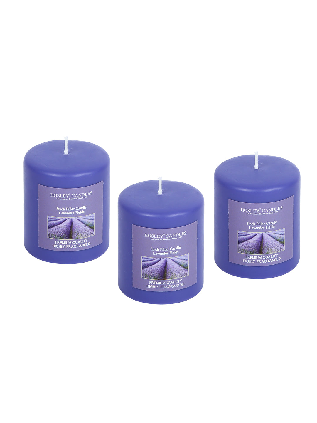 Hosley Set of 3 Lavender Fields 3Inchs Pillar Candles