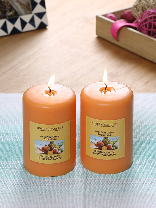 Hosley Set of 2 Tropical Mist 4Inchs Pillar Candles