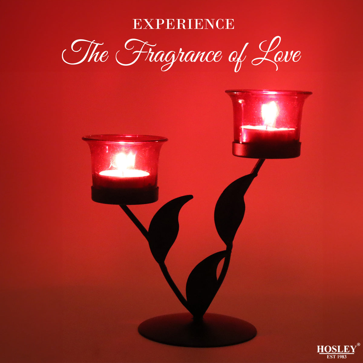 Hosley Black and Red Tealight Candle holder / Table Décor with free Tealight - Pack of 1