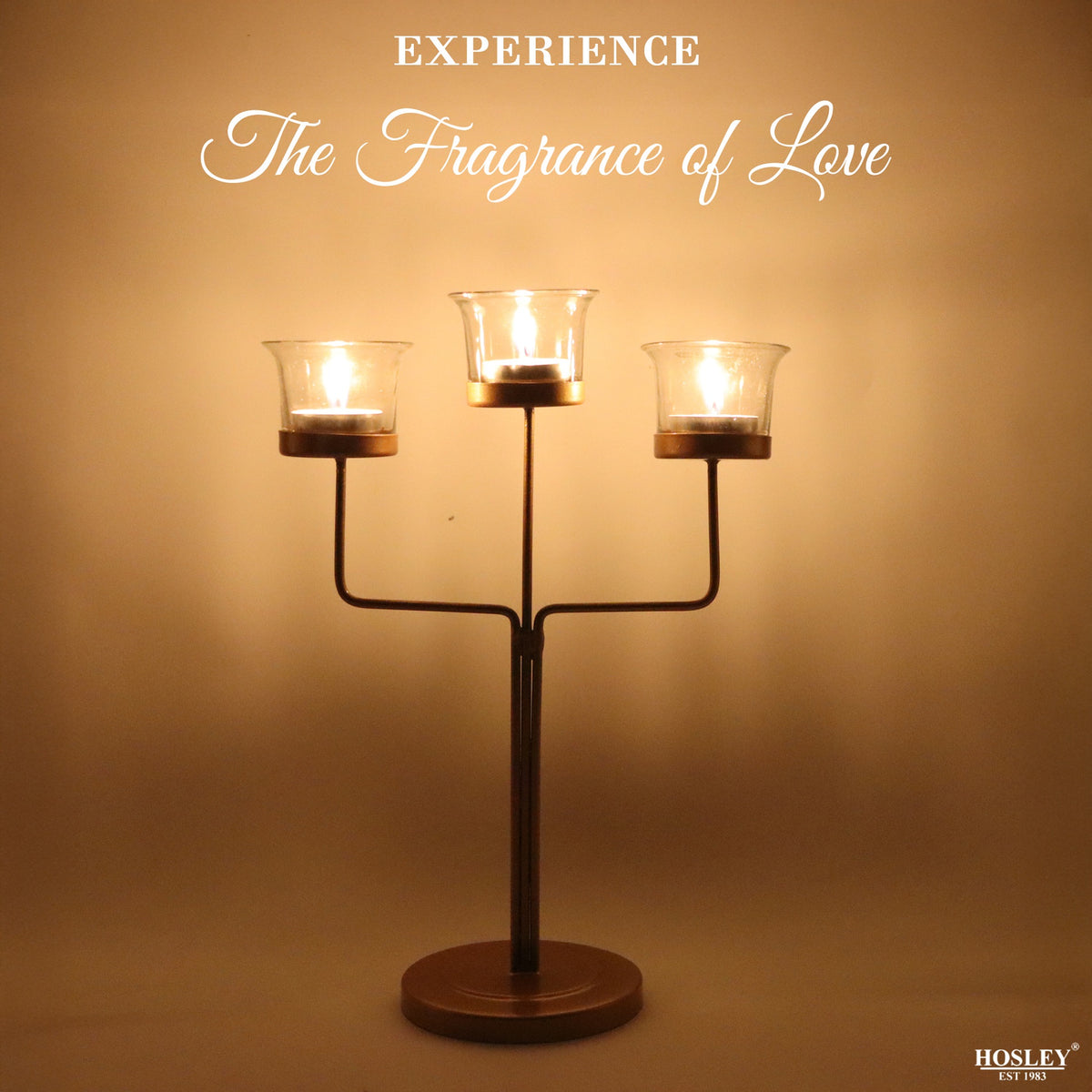 Clear Glass Tealight Candle Holders