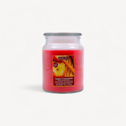 Hosley® Apple Cinnamon Highly Fragranced, 18 Oz wax, Large Jar Candle