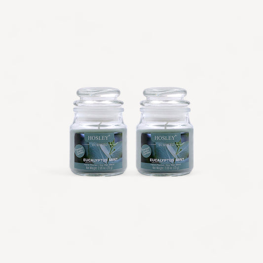 Hosley Set of 2 Eucalyptus Mint 2.65 Oz (75g)