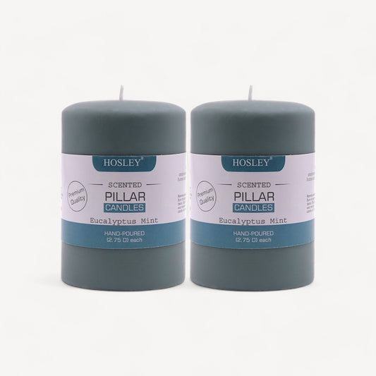 Hosley Set of 2 Eucalyptus Mint 4Inchs Pillar Candles