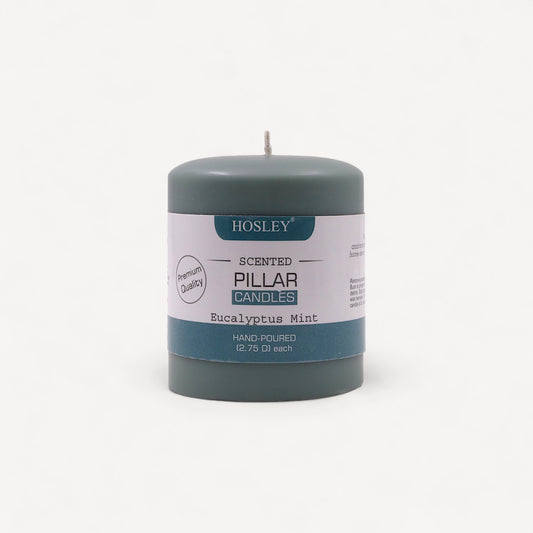 Hosley® Eucalyptus Mint Highly Fragranced 3inch Pillar Candle