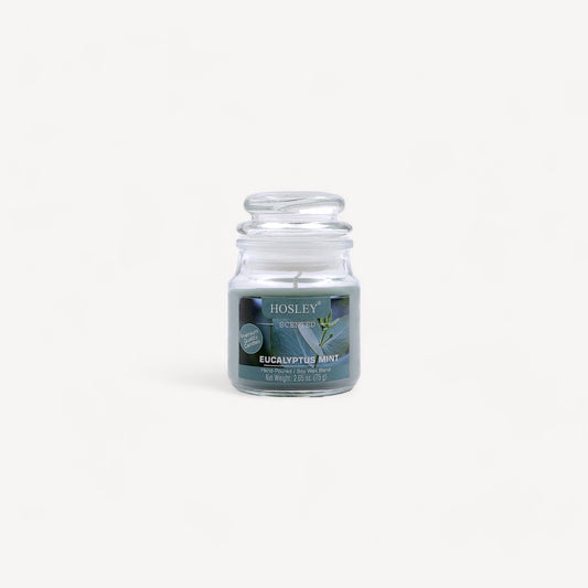 Hosley® Eucalyptus Mint Highly Fragranced, 2.65 Oz wax, Jar Candle
