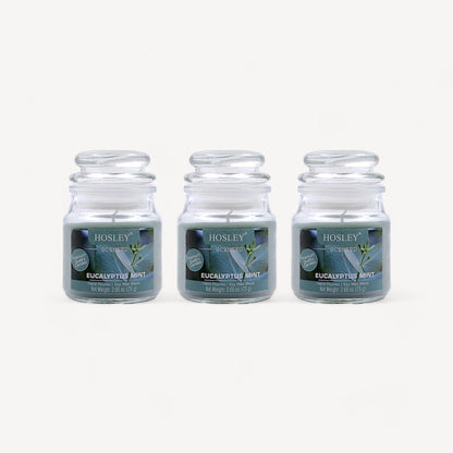 Set of 3 Hosley® Eucalyptus Mint Highly Fragranced Jar Candles, 2.65 Oz wax each