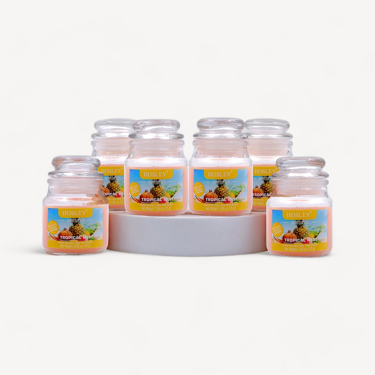 Hosley® Tropical Mist Jar Candles - Set of 6