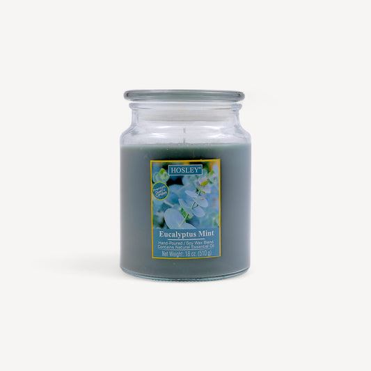 Hosley® Eucalyptus Mint Highly Fragranced, 18 Oz wax, Large Jar Candle