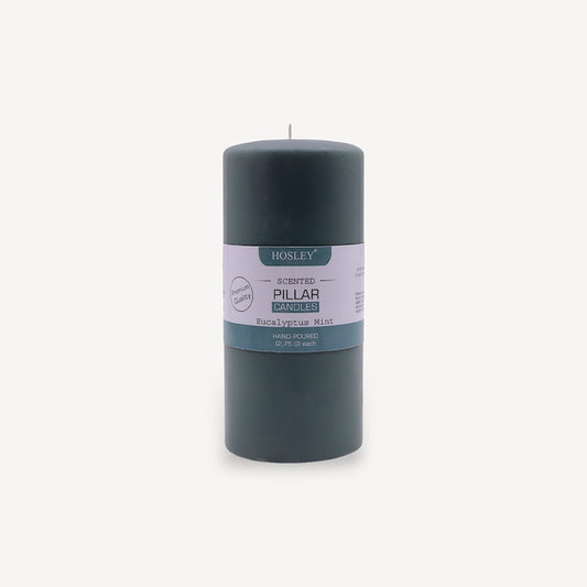 Hosley® Eucalyptus Mint Highly Fragranced 6inch Pillar Candle