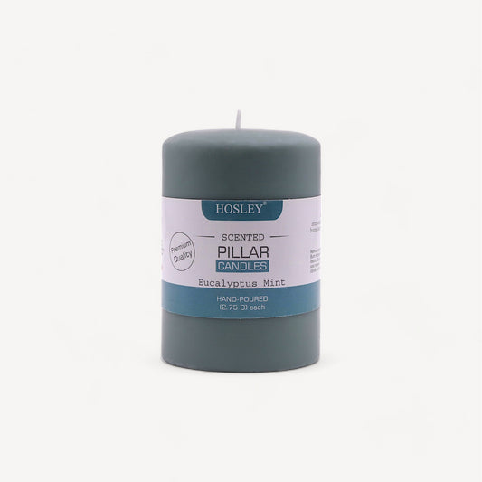 Hosley® Eucalyptus Mint Highly Fragranced 4inch Pillar Candle