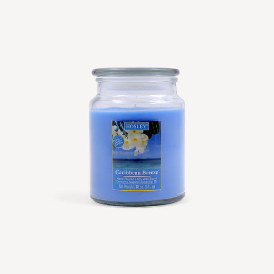 Hosley® Caribbean Breeze Highly Fragranced, 18 Oz wax, Large Jar Candle