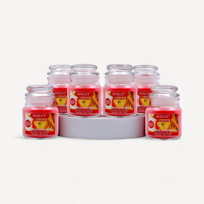 Hosley® Apple Cinnamon Jar Candles - Set of 6