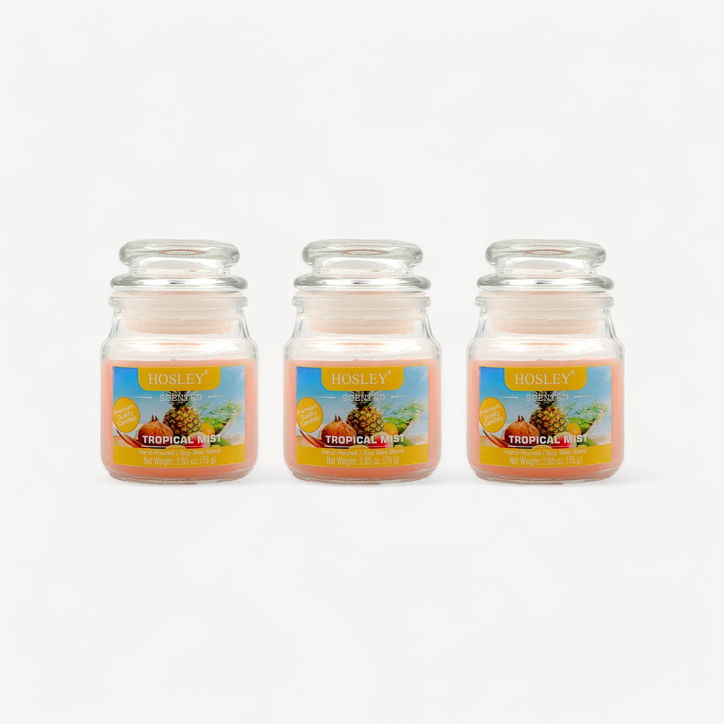 Set of 3 Hosley® Tropical Mist  Highly Fragranced Jar Candles, 2.65 Oz wax each