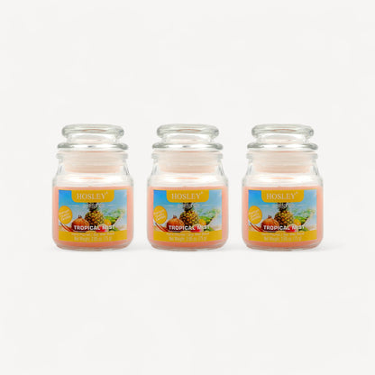 Set of 3 Hosley® Tropical Mist  Highly Fragranced Jar Candles, 2.65 Oz wax each