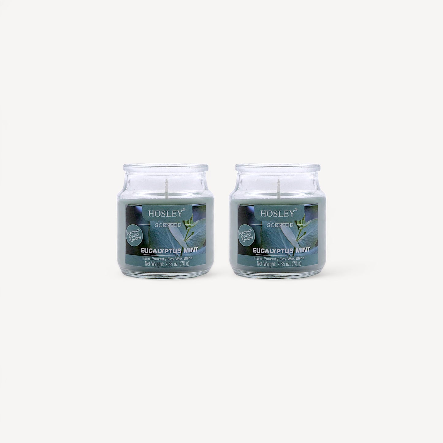 Hosley Set of 2 Eucalyptus Mint 2.65 Oz (75g)