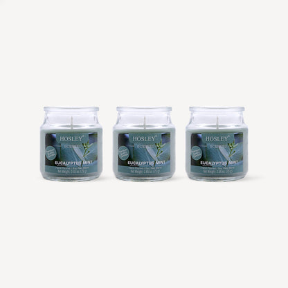 Set of 3 Hosley® Eucalyptus Mint Highly Fragranced Jar Candles, 2.65 Oz wax each