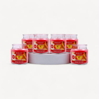 Hosley® Apple Cinnamon Jar Candles - Set of 6