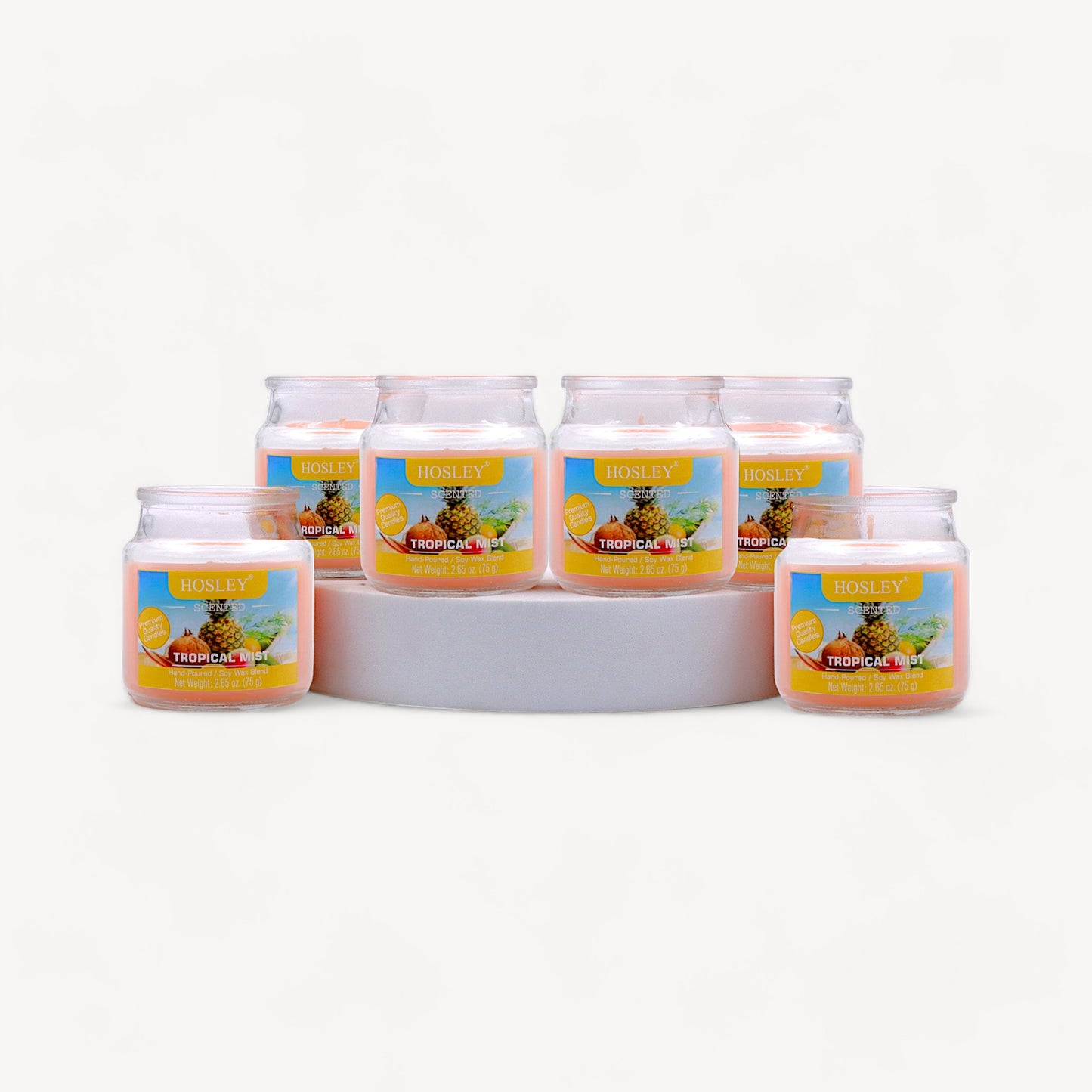 Hosley® Tropical Mist Jar Candles - Set of 6