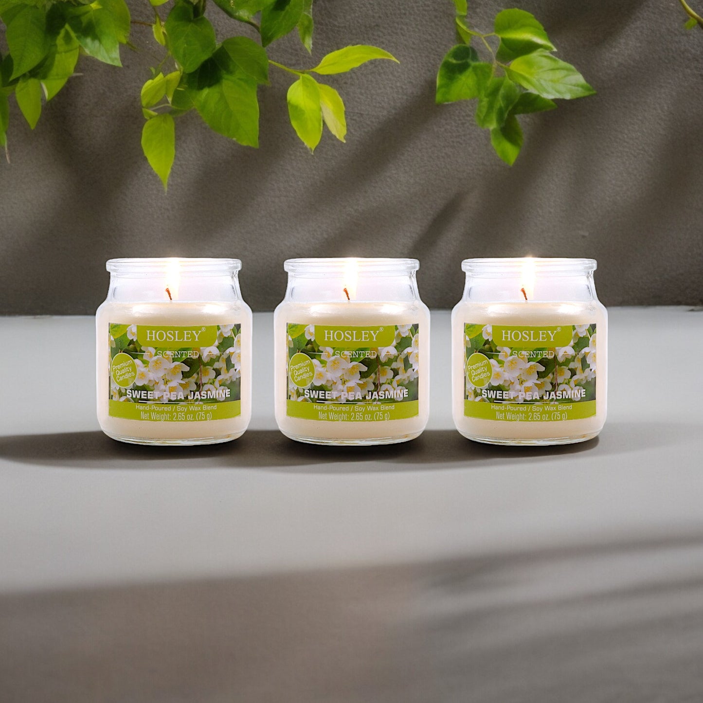 Set of 3 Hosley®  Sweet Pea Jasmine Highly Fragranced Jar Candles 2.65 Oz wax each