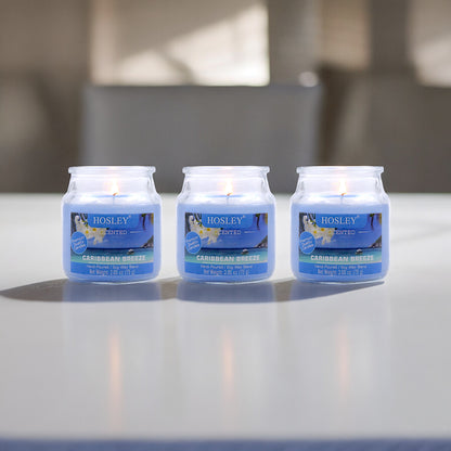 Set of 3 Hosley® Caribbean Breeze  Highly Fragranced Jar Candles, 2.65 Oz wax each