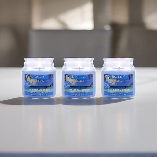 Set of 3 Hosley® Caribbean Breeze  Highly Fragranced Jar Candles, 2.65 Oz wax each