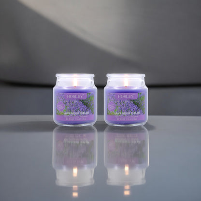 Hosley Set of 2 Lavender Fields 2.65 Oz (75g)