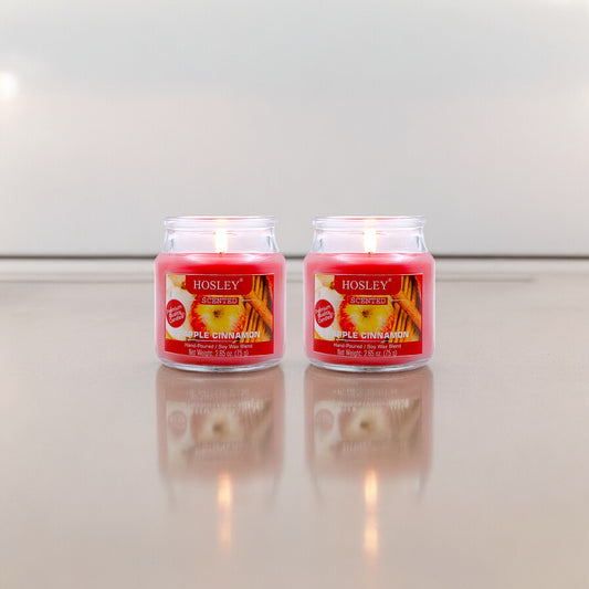 Hosley Set of 2 Apple Cinnamon 2.65 Oz (75g)