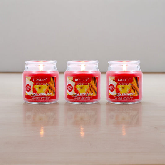 Hosley Apple Cinnamon Fragranced Jar Candles – Set of 3, 2.65 Oz Each