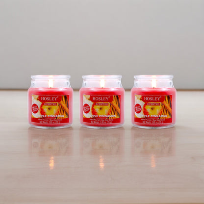 Hosley Apple Cinnamon Fragranced Jar Candles – Set of 3, 2.65 Oz Each