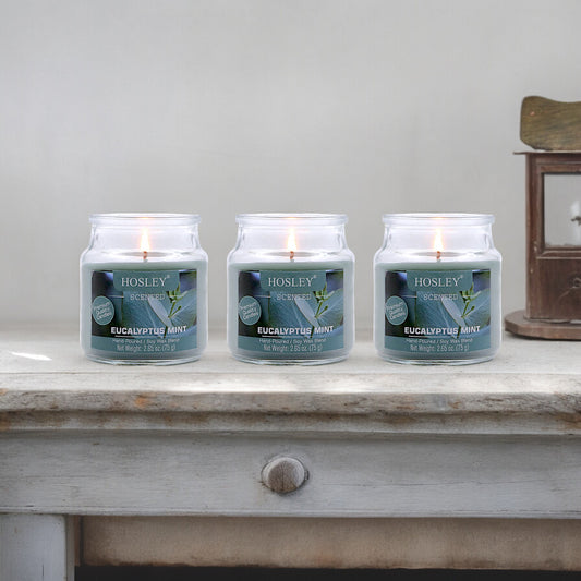 Hosley Eucalyptus Mint Fragranced Jar Candles – Set of 3, 2.65 Oz Each