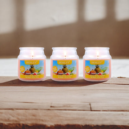 Set of 3 Hosley® Tropical Mist  Highly Fragranced Jar Candles, 2.65 Oz wax each