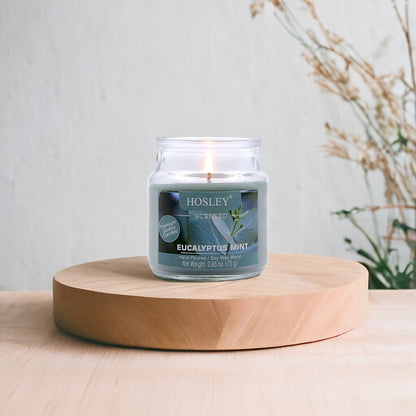 Hosley Eucalyptus Mint Fragranced Jar Candle – 2.65 Oz