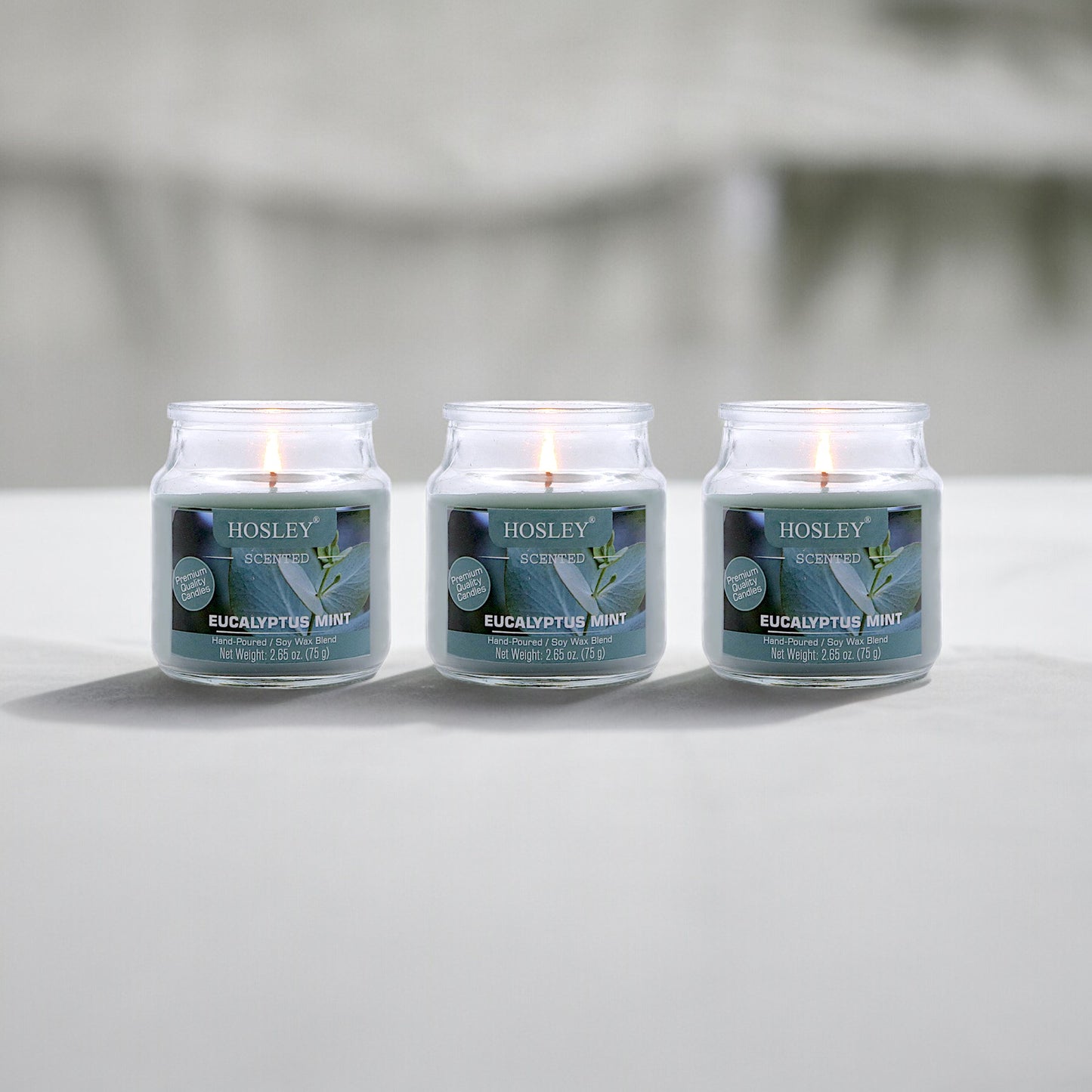 Set of 3 Hosley® Eucalyptus Mint Highly Fragranced Jar Candles, 2.65 Oz wax each