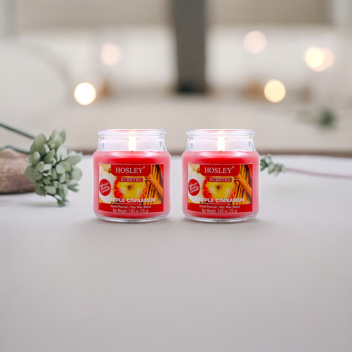 Hosley Set of 2 Apple Cinnamon 2.65 Oz (75g)